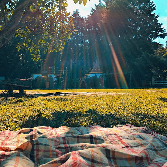 Lunch Outdoors